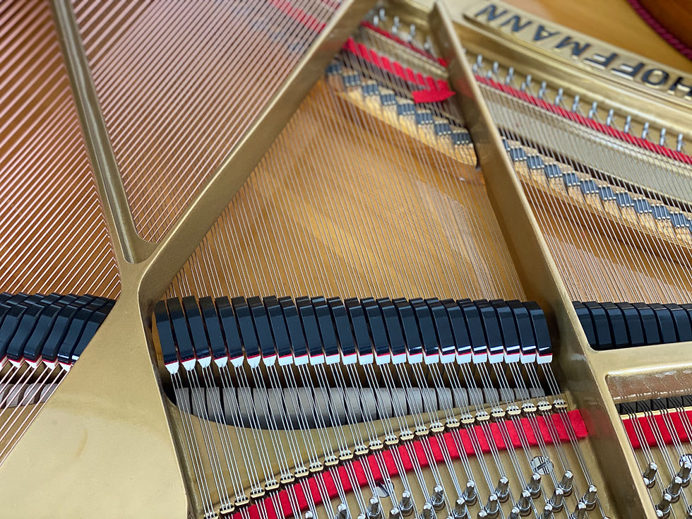 Miniaturbild: W. Hoffmann Louise 170cm Blattgold weiß/matt