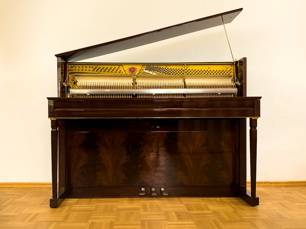 Miniaturbild: SCHIMMEL Modell 114 cm Design Exclusive in Mahagoni poliert