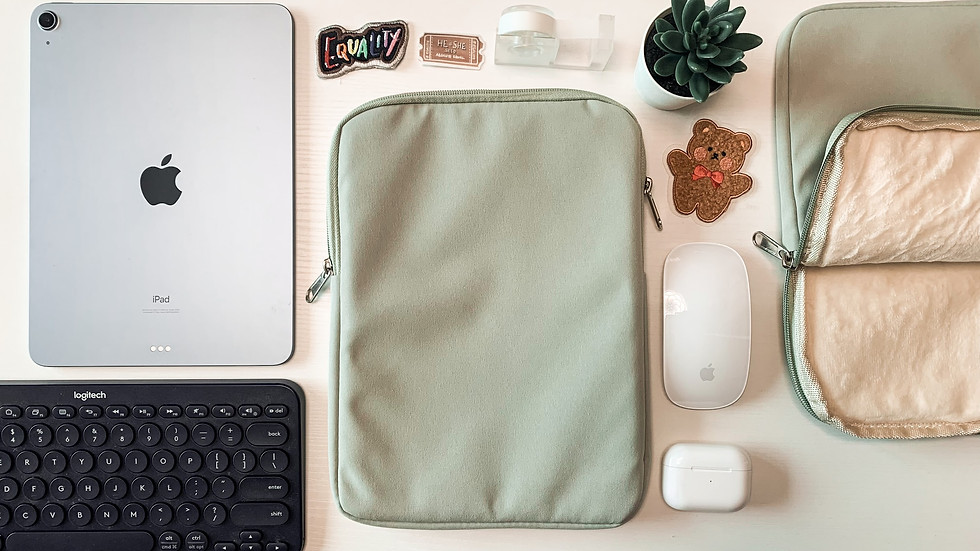 Thumbnail: iPad/Macbook pouch