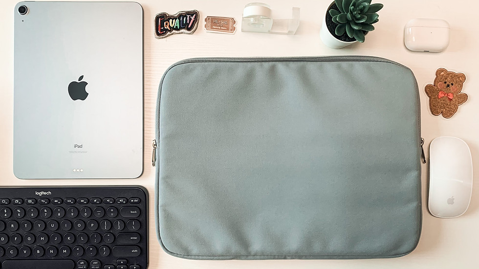 Thumbnail: iPad/Macbook pouch