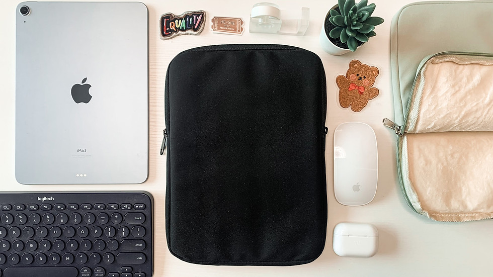 Thumbnail: iPad/Macbook pouch
