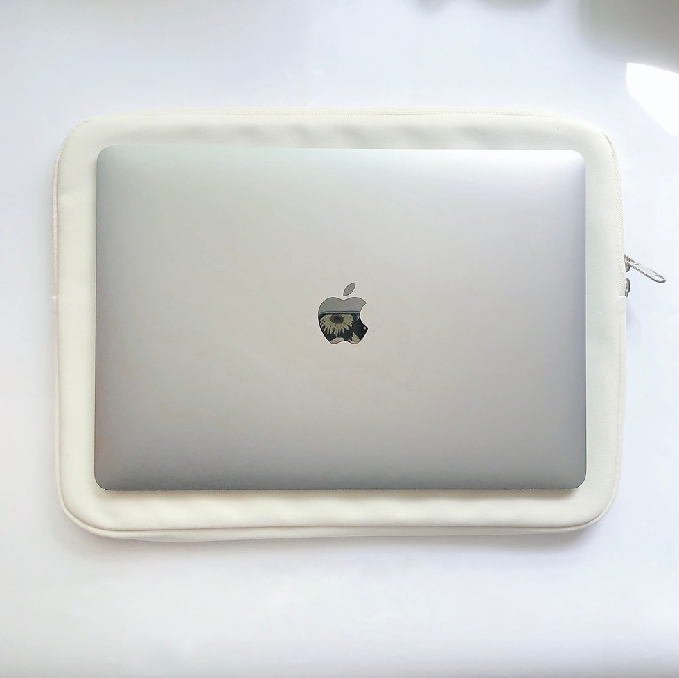 Thumbnail: iPad/Macbook pouch