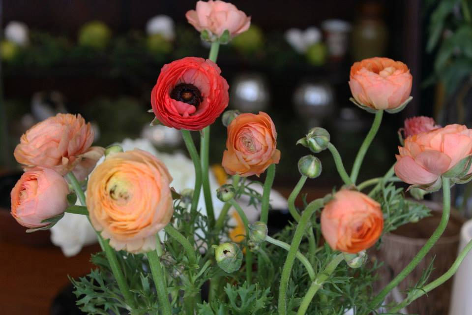 9 Reasons Why Flower's Make Great Gifts!