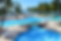 marina.webp