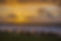 kenoa.webp