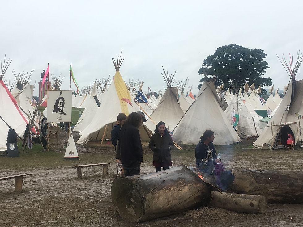 Tipi Fields