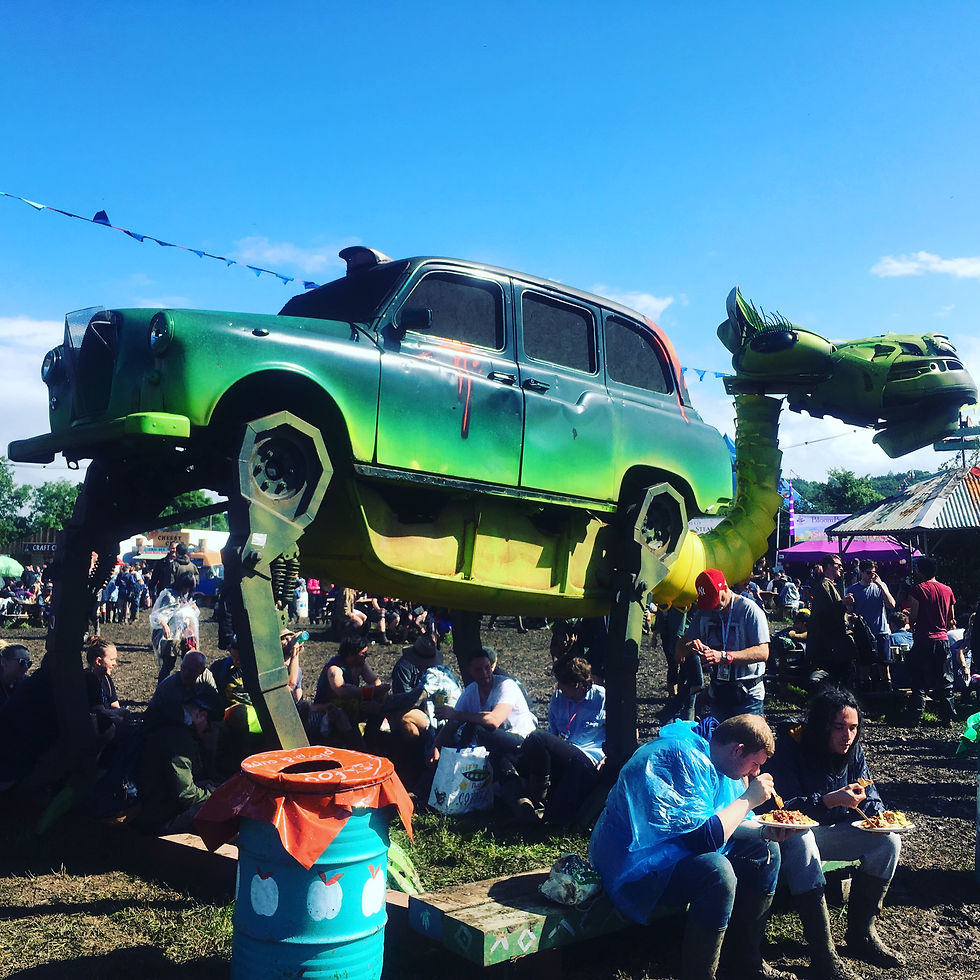 William's Green - GLASTONBURY