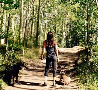 The back of a woman walking in the woods