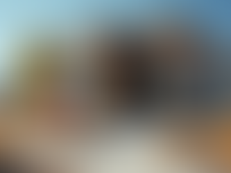 The Real Estate Agent Process in Colorado: Your Path to Success