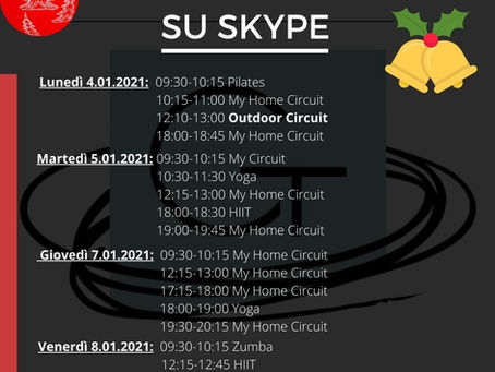 Corsi di Gruppo su Skype 4.01.2021- 8.01.2021