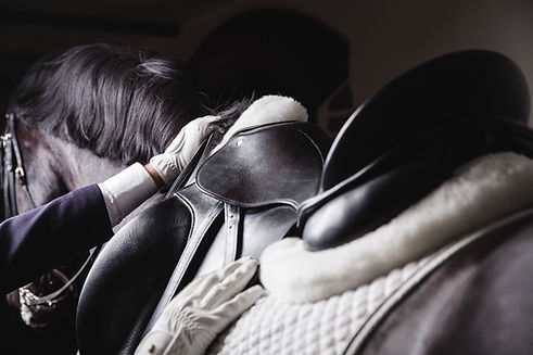 Professional male equestrian rider saddle up horse for dressage on training or competition