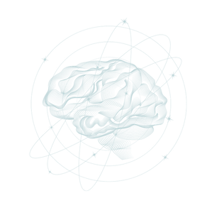 neurodesarrollo-idalba-dugarte-cerebro.png