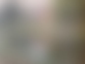 Warnford Park Paintings