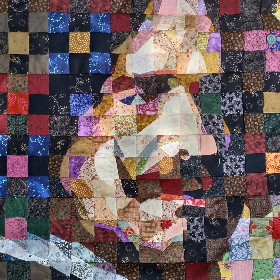 Intermediate Fabric Portraiture