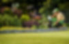 Depositphotos_640946260_L.jpg
