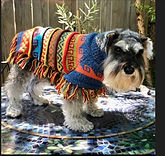 handmade luxury alpaca poncho perfect for dogs 3 lbs to 80 lbs. blue tweed color. Great for dogs with sensitive skin