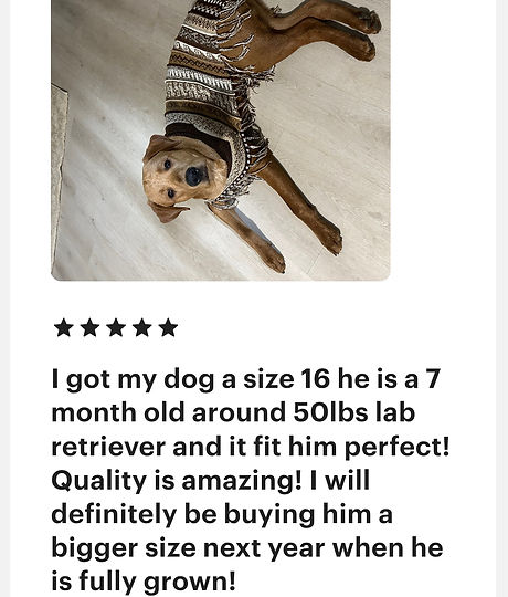 a dog 5 star review from one of our customes