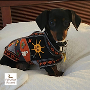 harley color handmade dog sweater. hand embroidered design.