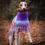 Thumbnail: ROYAL PURPLE Alpaca dog poncho (sizes X0-8)