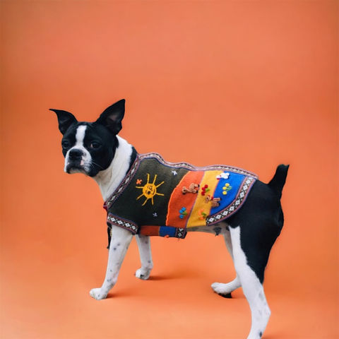 Big boxer dog wearing size 14 military green zip up the back dog sweater by PeruvianAccent.com