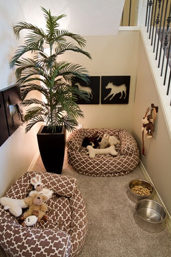 Playful Pets Room