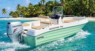 WhatsApp Image 2026-01-28 at 11.23.22.jpeg