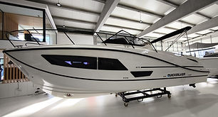 WhatsApp Image 2026-02-10 at 13.47.59.jpeg