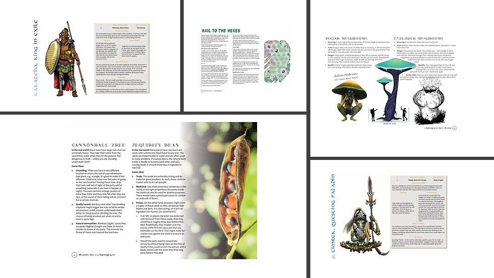 Thumbnail: The Oracle 22 - Jungle