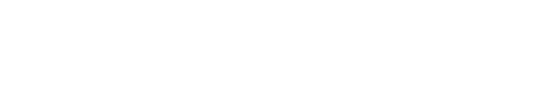 paradiigm-logo-white.png