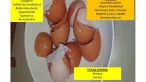 MEMBRANAS DE HUEVO