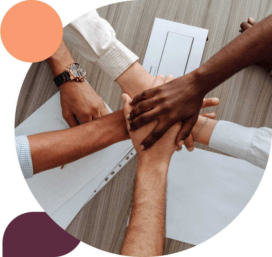 Sky High ERP NetSuite Alliance Partner Expert Implementations, Managed Services, Support, Customizations