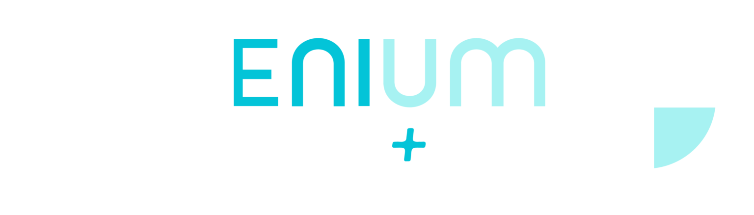 Millenium-02-e1732251570126-1536x438.png