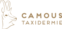 CAMOUS_LOGO_SITE.png