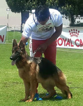 EJEMPLAR VON DER JOSS