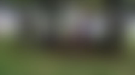 NUEVOS HANDLERS SECCIONAL ZONA NORTE