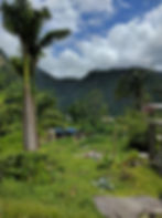 Gallery_8.jpg