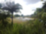 Gallery_6.jpg