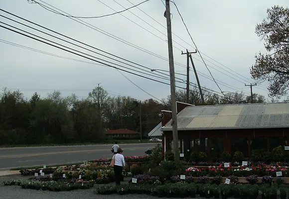 The Nalls Produce store is shown surrounded by flowers for sale as cars travel along Beulah Street in the background.