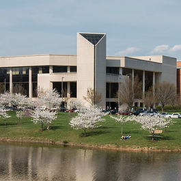 The Center for the Arts