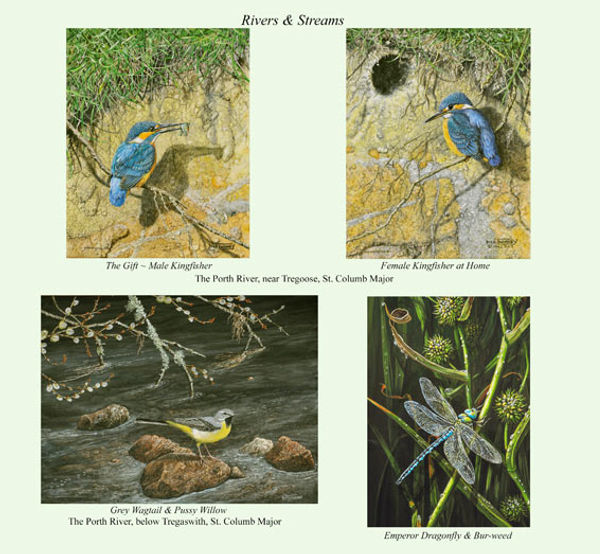 19 Rivers-&-Streams-THE-REST-2.jpeg