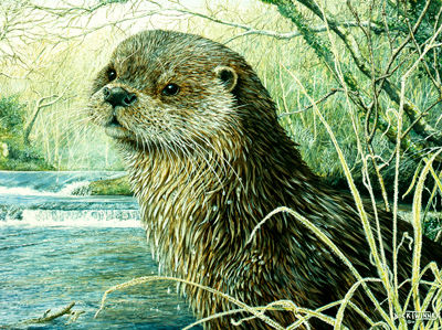 Frosty Morning ~ Dog Otter