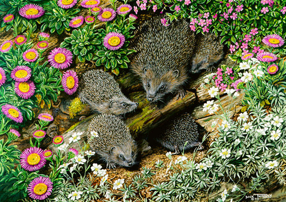 Hedgehog Family