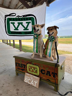 453154990_496923879550532_7612982334751317374_n