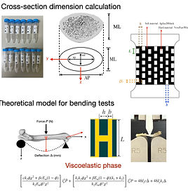 Image 2025-9-24 at 2.13 PM.jpg