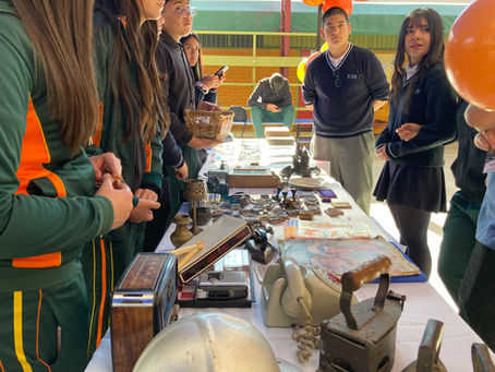 MUSEO VIVO ESCOLAR