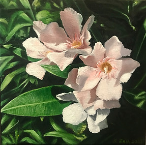 Tableau de fleurs de lauriers blancs - ombres et lumière