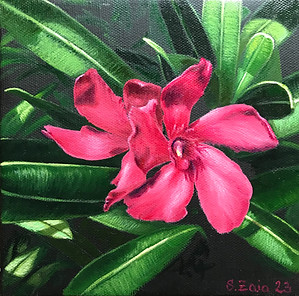 été en Provence - peinture de lauriers roses