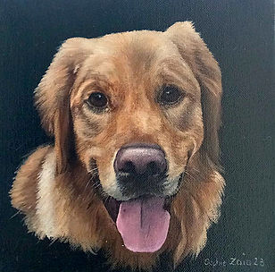 peinture-golden-retriever-provence-cadea