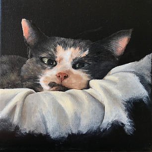 Portrait d'un petit chat dormant, peinture à huile signée Sophie Zaia