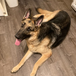 Odin